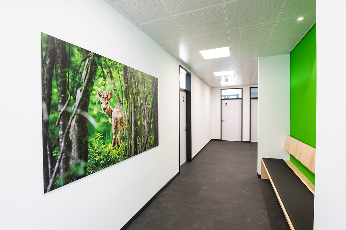 Gorßformatdrucke für die Urologische Gemeinschaftspraxis Kaufbeuren